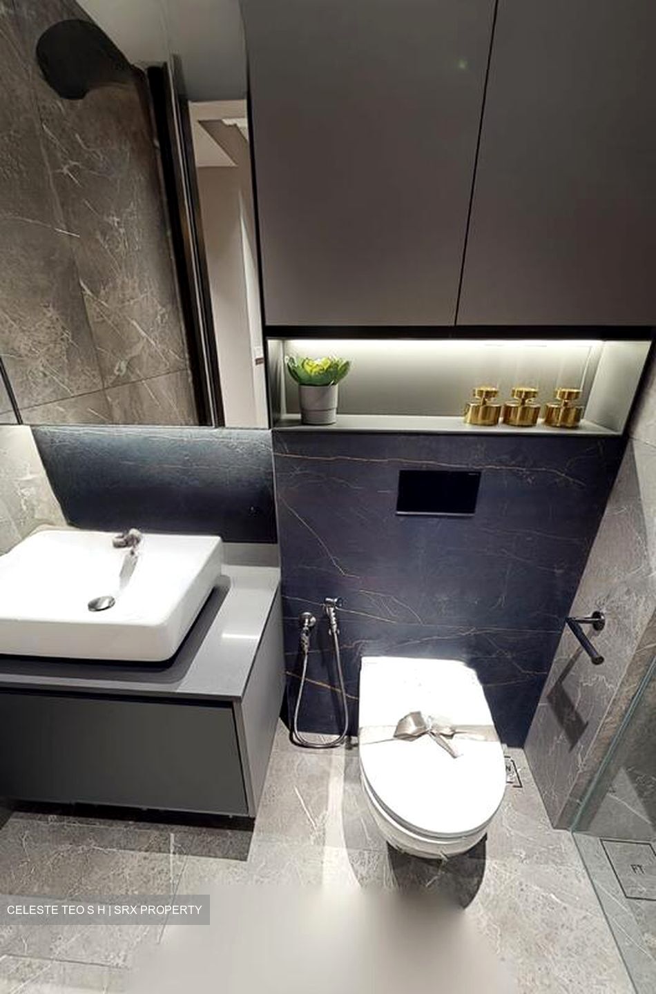 Irwell Hill Residences (D9), Apartment #471350241